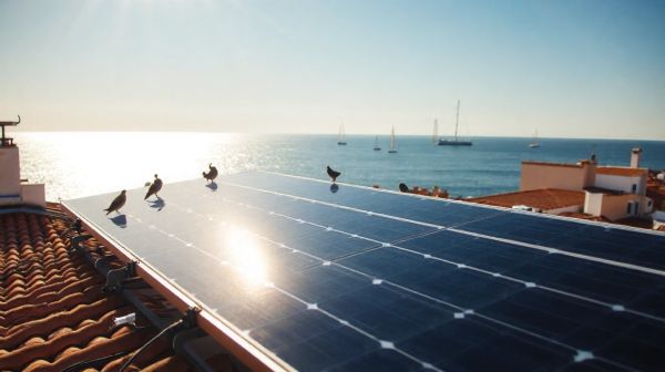 Top conseils pour rentabiliser l'énergie solaire à Agde